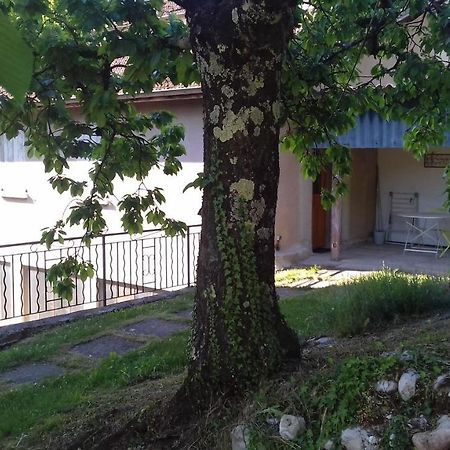 圣·让恩·罗亚恩斯Cote Jardin公寓 外观 照片